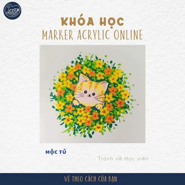 Feedback học viên 16
