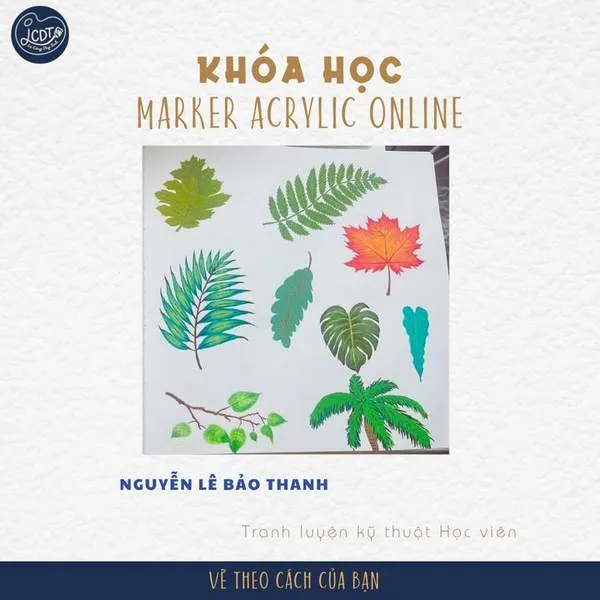 Feedback học viên 20